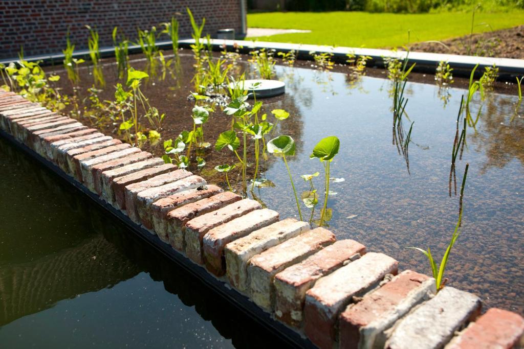 B&B De Deugdzonde Sint-Denijs エクステリア 写真