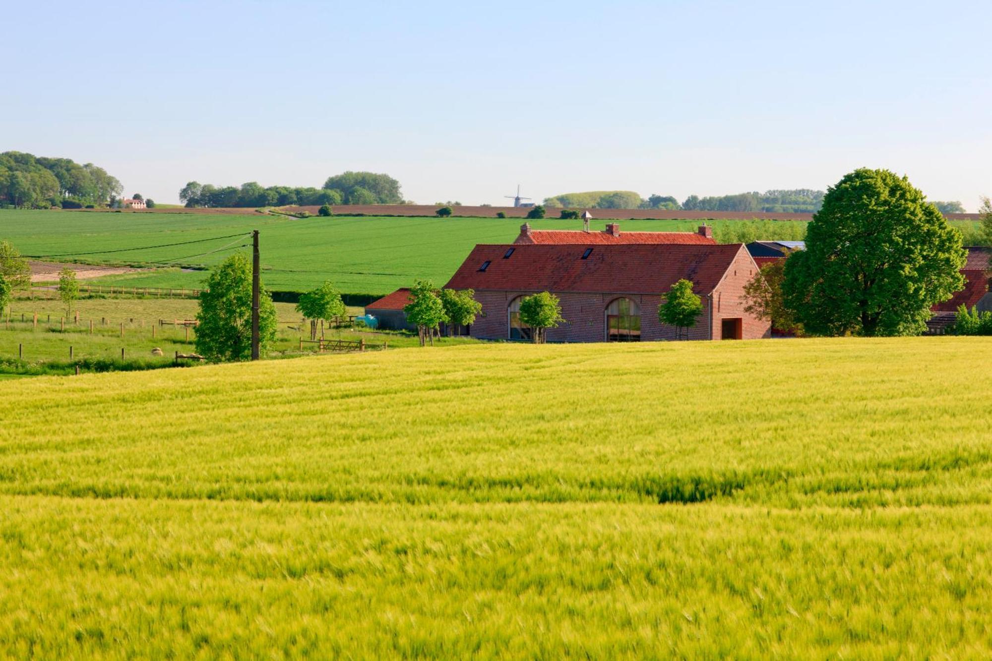 B&B De Deugdzonde Sint-Denijs エクステリア 写真