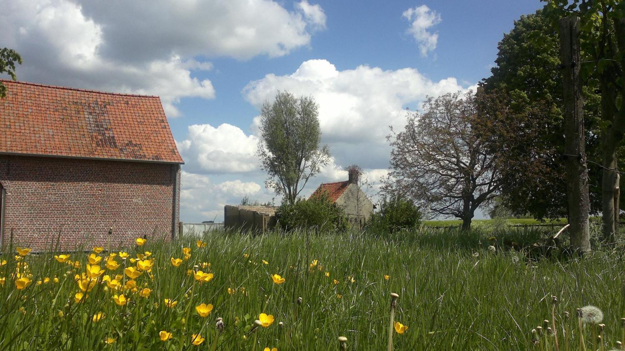 B&B De Deugdzonde Sint-Denijs エクステリア 写真